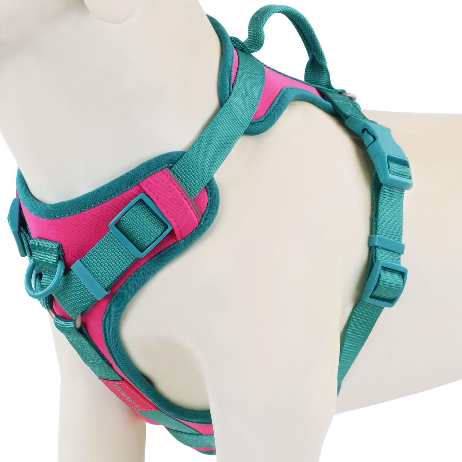 Splicing Colors Breathable For Medium No Pull Dog Harness for large Small dogs Adjustable Chest Strap Dog Harness Personalized S
Splicing Colors Breathable For Medium No Pull Dog Harness for large Small dogs Adjustable Chest Strap Dog Harness Personalized S
