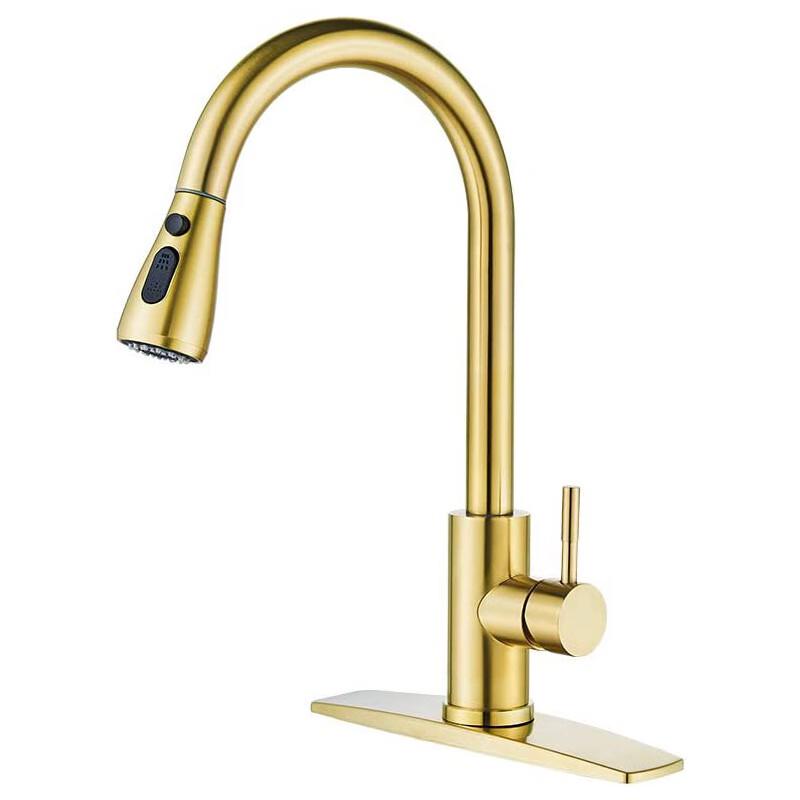 TLXT Pull-Out Kitchen Faucet
TLXT Pull-Out Kitchen Faucet