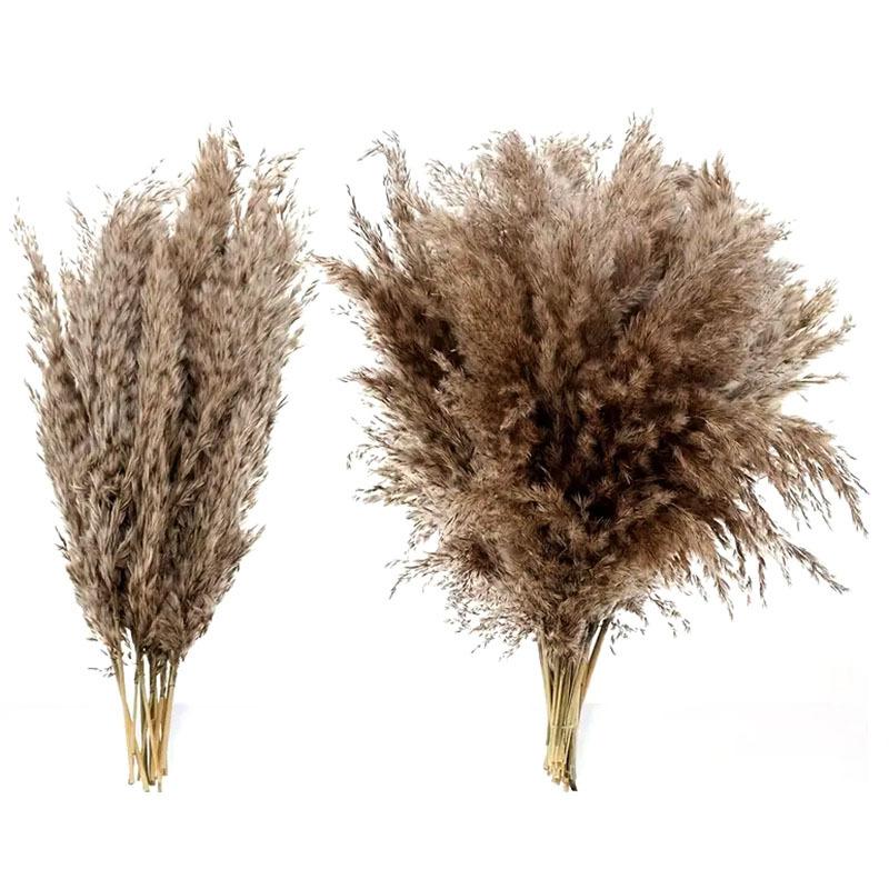 Разноцветные сушеные цветы тростника, украшение окна на свадьбу, пушистый букет из сушеных цветов пампасной травы и тростника
Разноцветные сушеные цветы тростника, украшение окна на свадьбу, пушистый букет из сушеных цветов пампасной травы и тростника