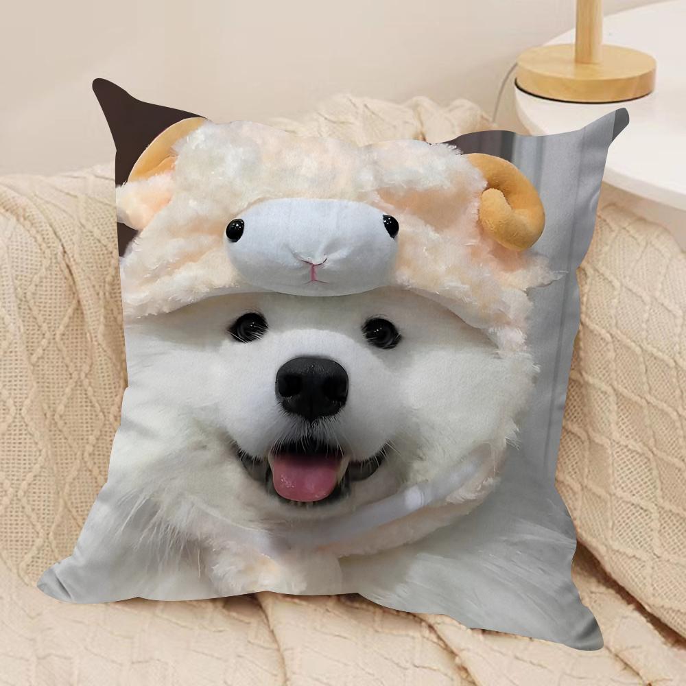 cute dog cat Kawaii gift Cushion Cover Silky Short Plush Invisible Zipper Dustproof Sofa Pillow Case for Home Decor 30x30cm
cute dog cat Kawaii gift Cushion Cover Silky Short Plush Invisible Zipper Dustproof Sofa Pillow Case for Home Decor 30x30cm