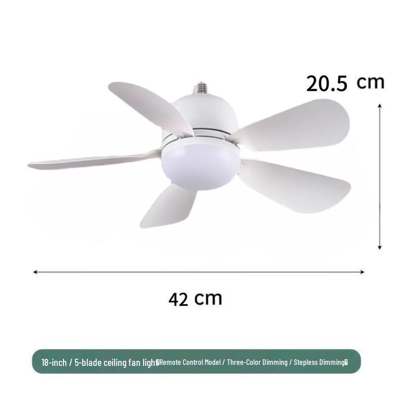 Silent Screw-Base Ceiling Fan Light
Silent Screw-Base Ceiling Fan Light