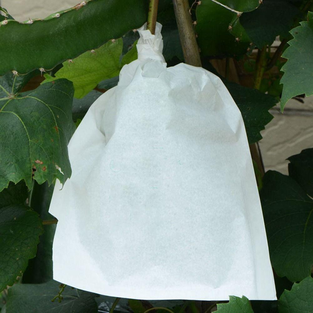 100pcs Anti-Bird Grape Protection Bags Waterproof Grape Protection Cover Garden Tool 25x34cm
100pcs Anti-Bird Grape Protection Bags Waterproof Grape Protection Cover Garden Tool 25x34cm