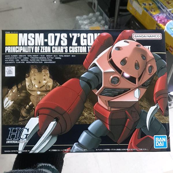 HGUC ZGok Chars Custom
HGUC ZGok Chars Custom