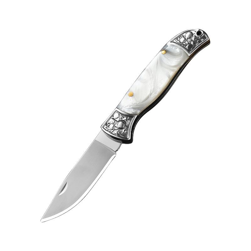 Складной нож для чистки фруктов из нержавеющей стали, ручка из смолы, нож для обвалки, портативный карманный нож, тесак для барбекю, кухонный нож для нарезки
Складной нож для чистки фруктов из нержавеющей стали, ручка из смолы, нож для обвалки, портативный карманный нож, тесак для барбекю, кухонный нож для нарезки