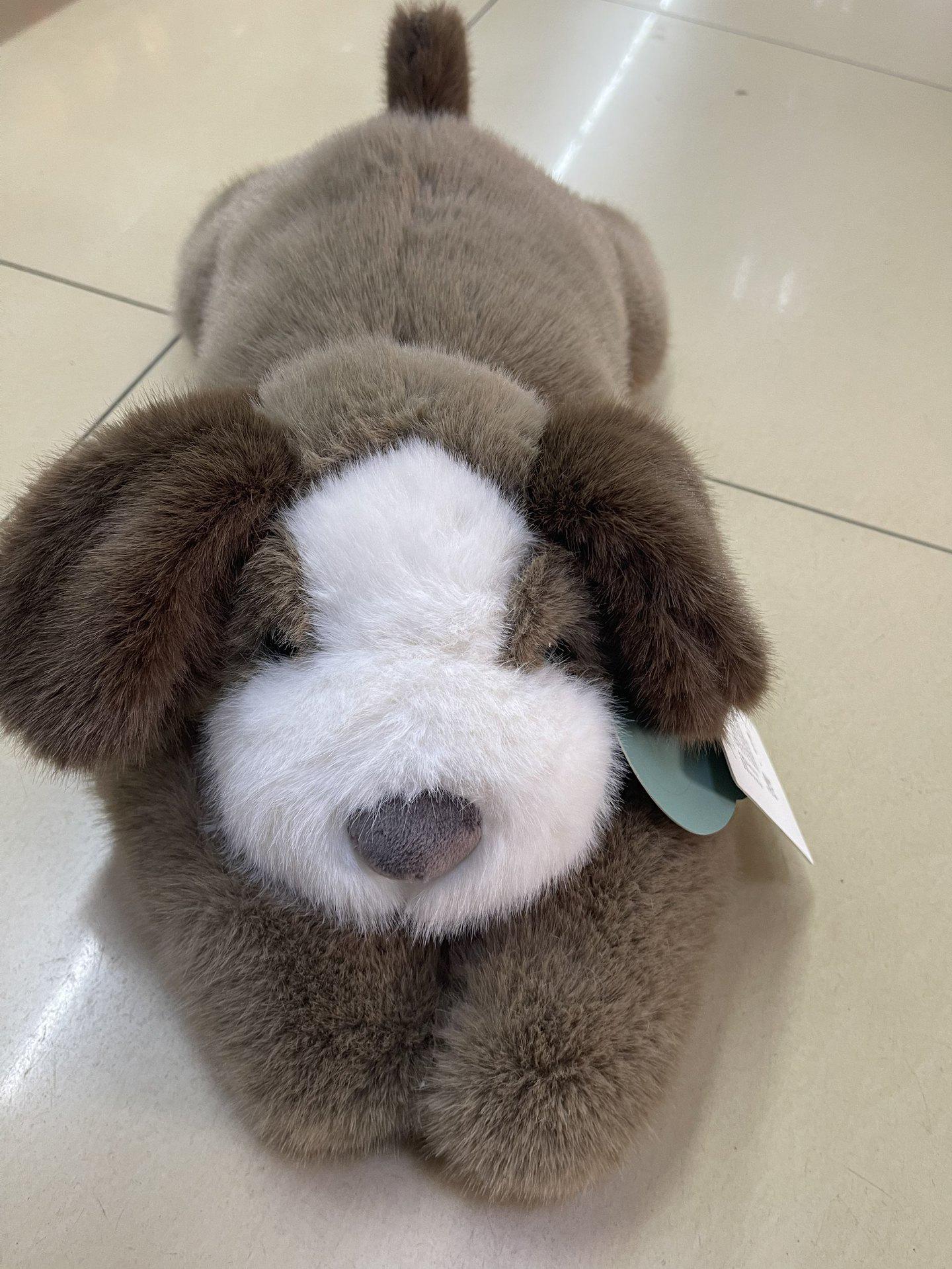 Haoweida Panda Koala Sloth Dinosaur Bear Plush Toy - Children s Companion and Gift 30cm
Haoweida Panda Koala Sloth Dinosaur Bear Plush Toy - Children s Companion and Gift 30cm