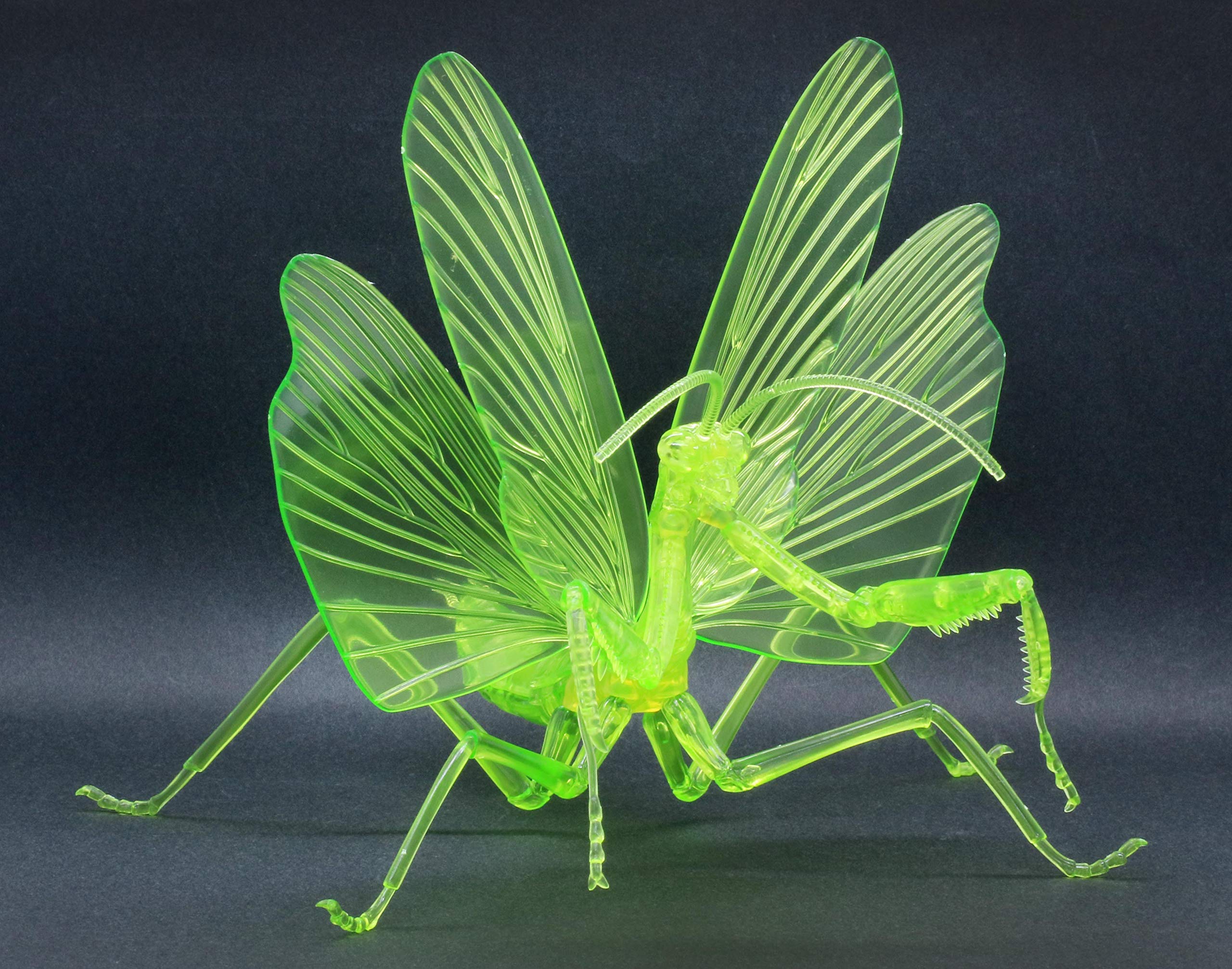 Free Research Series 23 Living Creatures Giant Praying Mantis Special Edition Plastic Model No. EX-2 (Clear Green)
Free Research Series 23 Living Creatures Giant Praying Mantis Special Edition Plastic Model No. EX-2 (Clear Green)