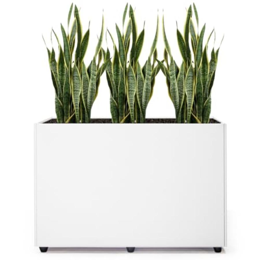 Rectangular Galvanized Steel Planter Box 24×16×12IN White Modern Outdoor Tall Planter with Drainage Holes Easy Installation All United States
Rectangular Galvanized Steel Planter Box 24×16×12IN White Modern Outdoor Tall Planter with Drainage Holes Easy Installation All United States