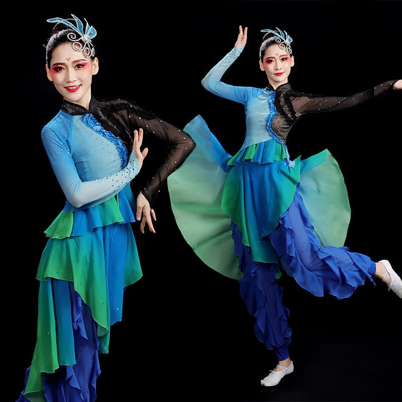Classical Dance Performance Dress L
Classical Dance Performance Dress L