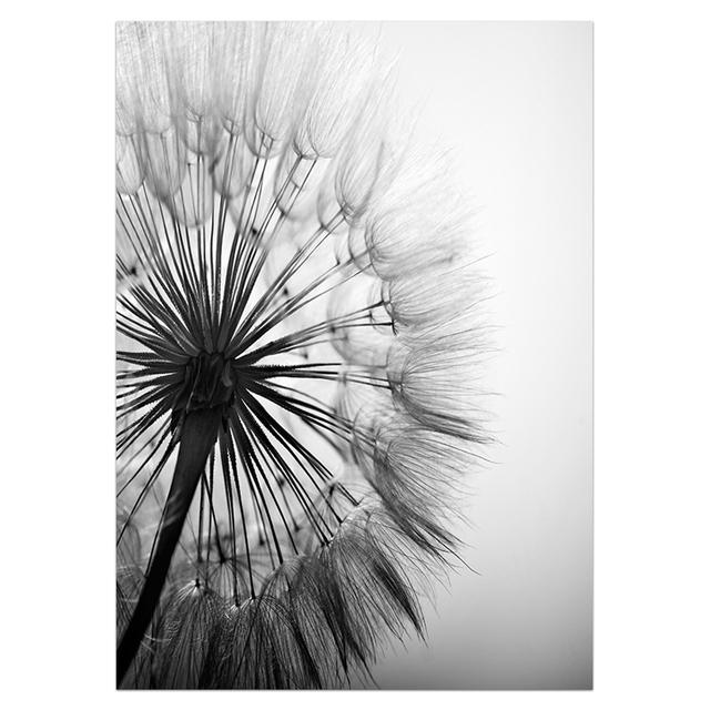 Flower Dandelion Canvas Painting Modern Black and White Art Photos for Living Room Abstract Wall Poster and Print 21cm x 30cm No Frame
Flower Dandelion Canvas Painting Modern Black and White Art Photos for Living Room Abstract Wall Poster and Print 21cm x 30cm No Frame