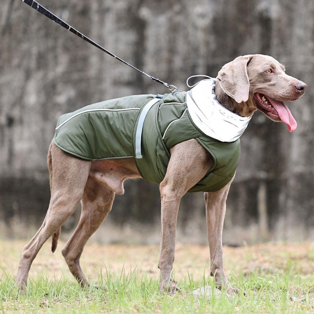 Nylon/Polyester Dogs Training Cotton Clothes High Collar Dog Reflective Safety Vest Jacket Winter
Nylon/Polyester Dogs Training Cotton Clothes High Collar Dog Reflective Safety Vest Jacket Winter