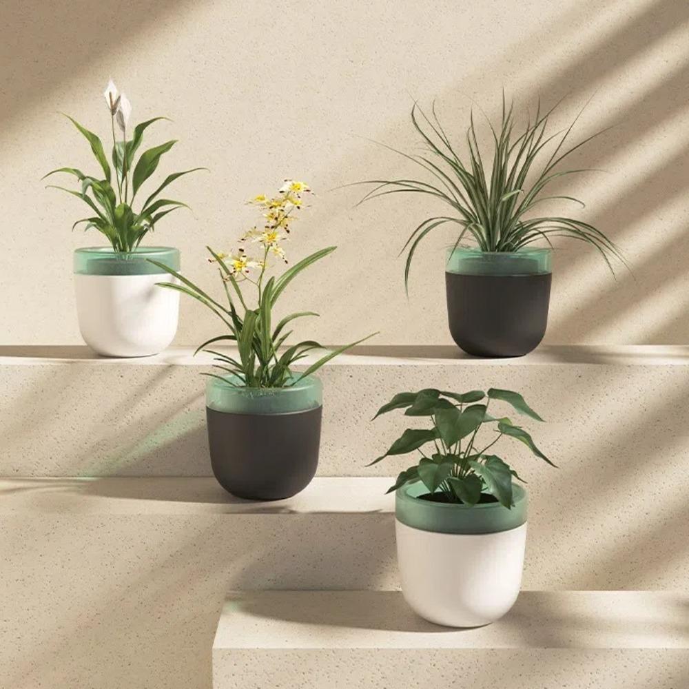 Double Layer Plant Pots Automatic Water Absorbent Planting Container Durable Flower Pot Office білий
Double Layer Plant Pots Automatic Water Absorbent Planting Container Durable Flower Pot Office білий