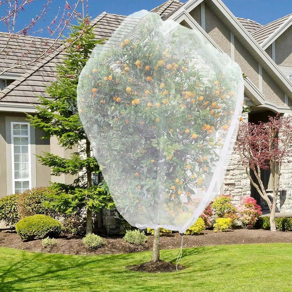 1pc Protection Bags for Plants Cover Mesh Netting for Tree Vegetable Strawberry Grapes Pest Control Anti-Bird Protective Bag 0.7x1m білий
1pc Protection Bags for Plants Cover Mesh Netting for Tree Vegetable Strawberry Grapes Pest Control Anti-Bird Protective Bag 0.7x1m білий