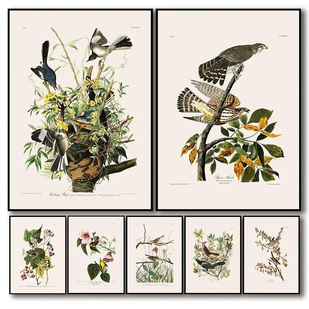 Винтажные птицы старый Audubon иллюстрация цветочные растения плакат холст живопись баклан птица настенные панно реализм искусство домашний декор 21cm×30cm NoFrame
Винтажные птицы старый Audubon иллюстрация цветочные растения плакат холст живопись баклан птица настенные панно реализм искусство домашний декор 21cm×30cm NoFrame