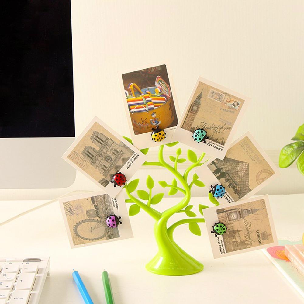 Многофункциональные держатели для фотографий Lucky Tree, пластиковые наклейки на холодильник с изображением божьей коровки
Многофункциональные держатели для фотографий Lucky Tree, пластиковые наклейки на холодильник с изображением божьей коровки