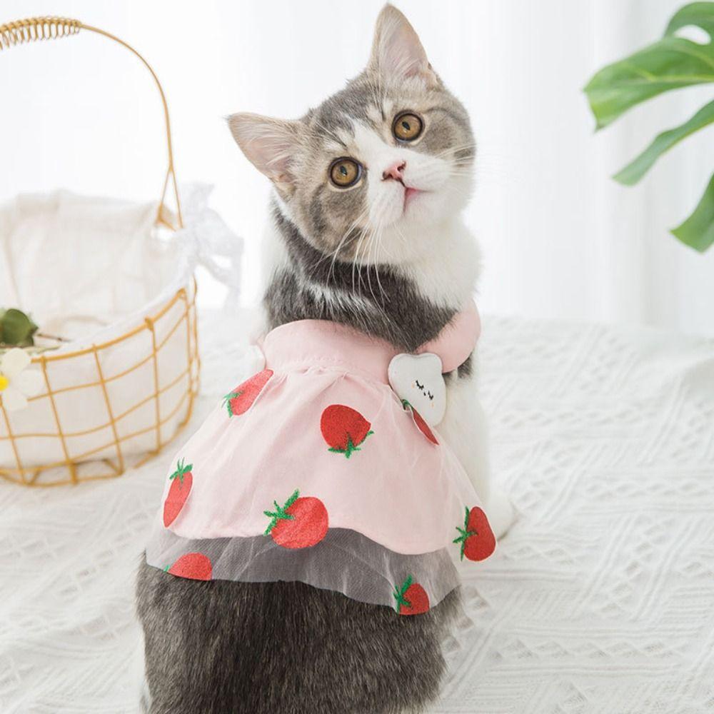 Soft Pet Summer Clothes Fashion Dog Vest Pet Supplies Cat Suspender Skirt Kittens S жовтий
Soft Pet Summer Clothes Fashion Dog Vest Pet Supplies Cat Suspender Skirt Kittens S жовтий