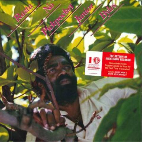LP Record JUNIOR BYLES - Rasta No Pickpocket OVLP286 Nighthawk Recor 2020 US Reggae, Ska & Dub
LP Record JUNIOR BYLES - Rasta No Pickpocket OVLP286 Nighthawk Recor 2020 US Reggae, Ska & Dub