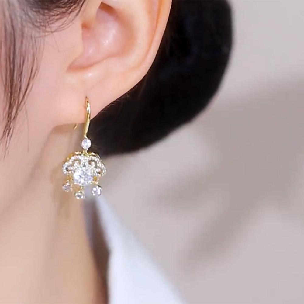 Lucky lock zircon fringed ear hook light luxury high-end earrings fashionable exquisite personalized earrings women
Lucky lock zircon fringed ear hook light luxury high-end earrings fashionable exquisite personalized earrings women