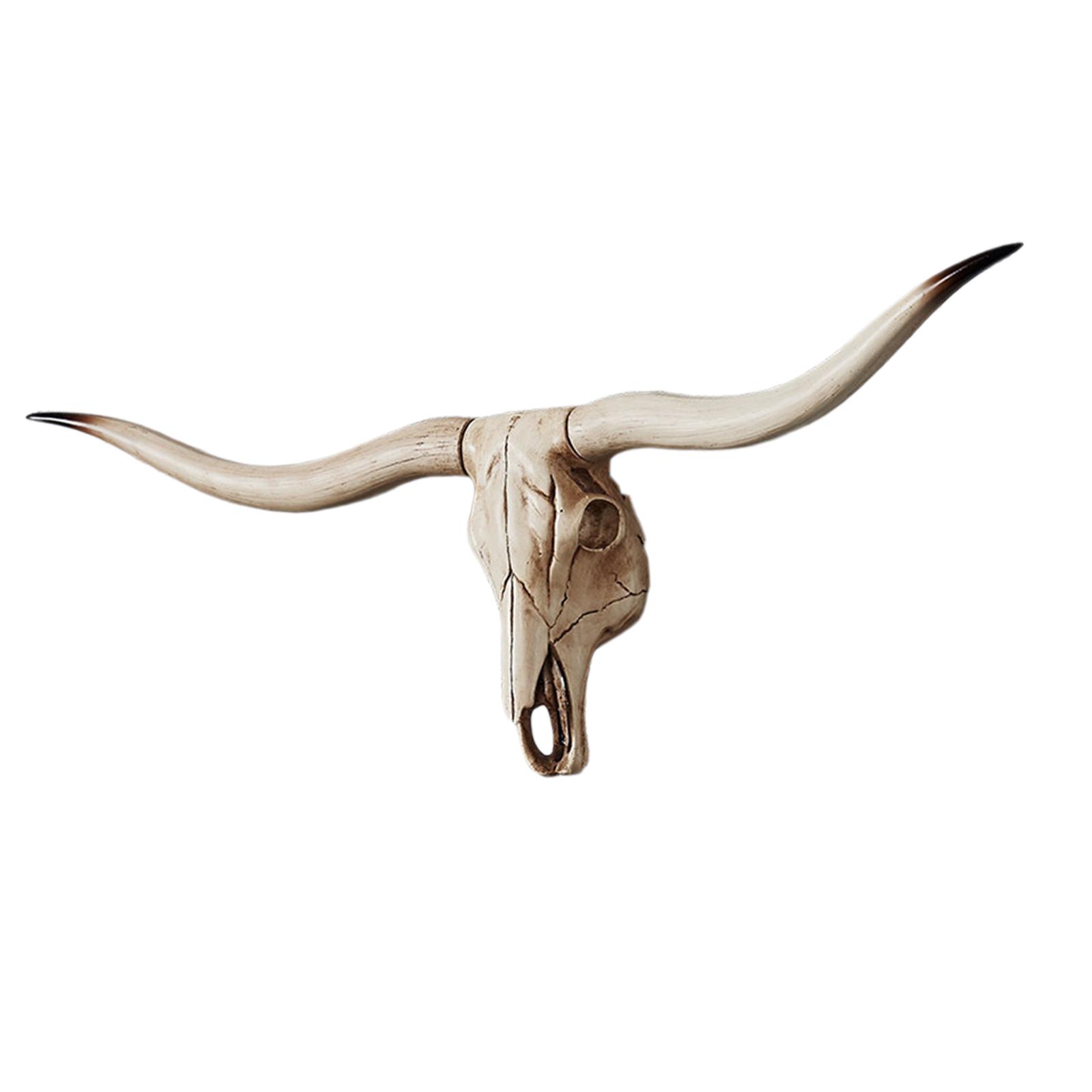 Long Decoration Skull Halloween Decoration Wall Decoration Skull Decoration
Long Decoration Skull Halloween Decoration Wall Decoration Skull Decoration