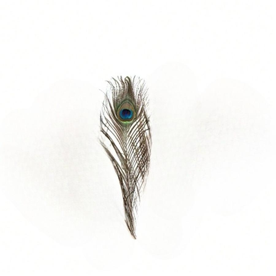 Перья павлина оптом, искусственные перья павлина, украшенные для вазы, поделки, вазы, свадьбы, домашней вечеринки, украшения на Рождество, перья павлина
Перья павлина оптом, искусственные перья павлина, украшенные для вазы, поделки, вазы, свадьбы, домашней вечеринки, украшения на Рождество, перья павлина