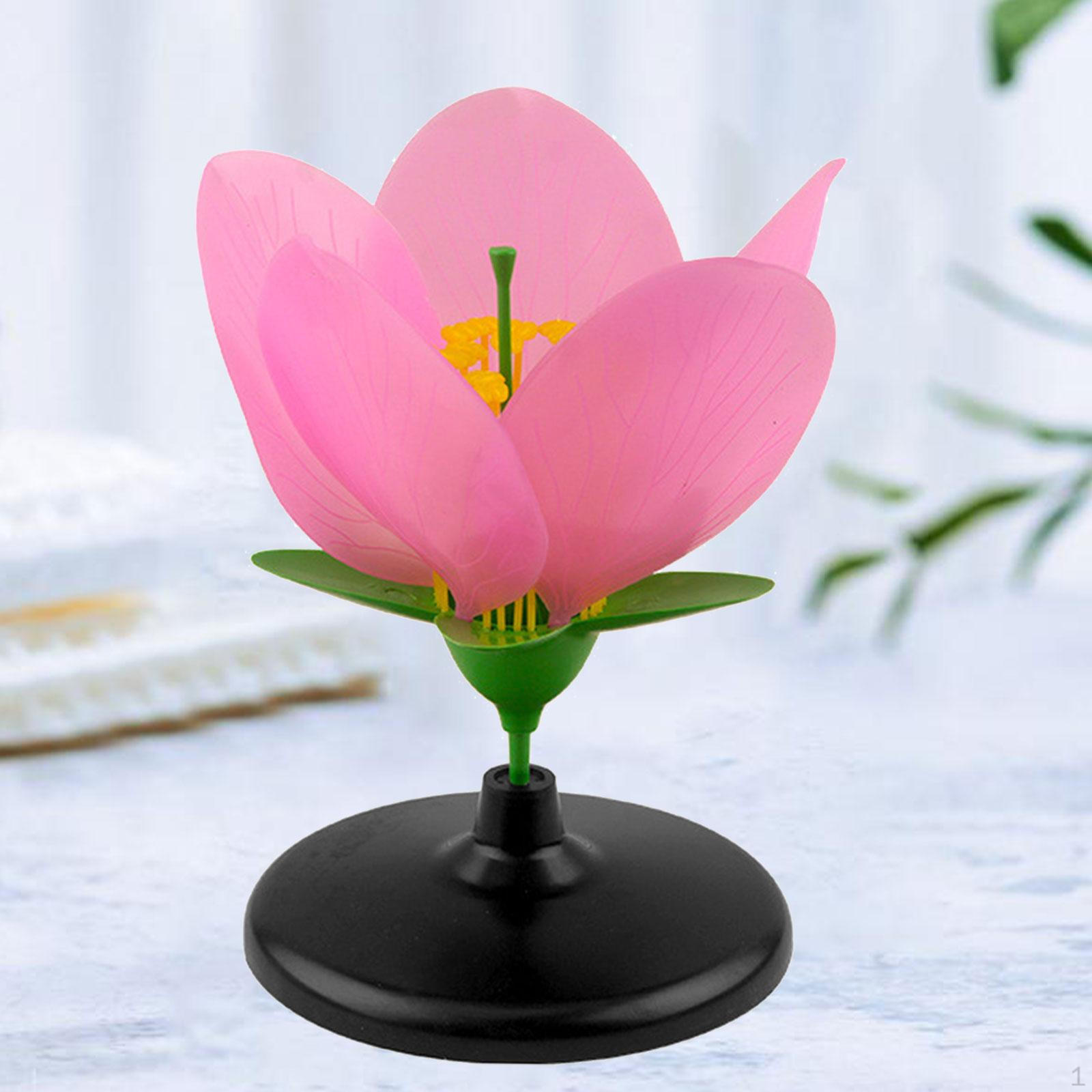 Peach Plant Model Teaching Aid Supplies Realistic Learning Toys Petal Structure for
Peach Plant Model Teaching Aid Supplies Realistic Learning Toys Petal Structure for