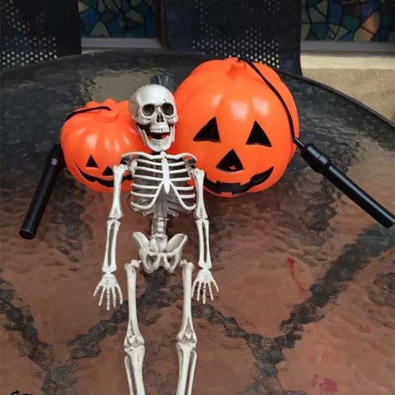 Скелет Страшный Человеческий Череп Дом с Привидениями Хэллоуин Реквизит Декор для Вечеринки Атмосфера
Скелет Страшный Человеческий Череп Дом с Привидениями Хэллоуин Реквизит Декор для Вечеринки Атмосфера