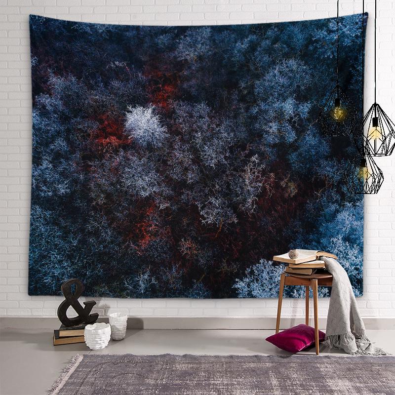 Зимний снежинка, ледяной узор, Настенный декор, гобелен, настенное искусство, индивидуальный гобелен для гостиной, спальни, домашний декор 200X170CM
Зимний снежинка, ледяной узор, Настенный декор, гобелен, настенное искусство, индивидуальный гобелен для гостиной, спальни, домашний декор 200X170CM