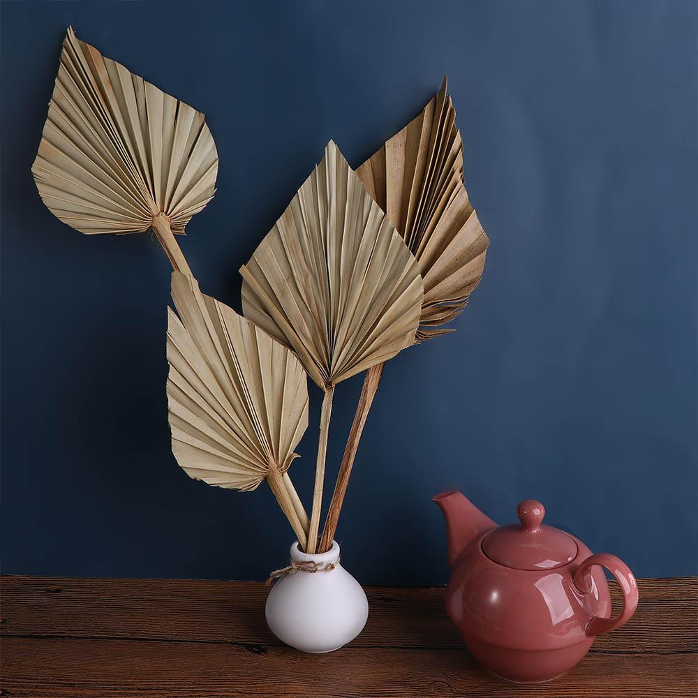 Home Party Natural Bohemian Boho with Stem Leaves Fan Leaf Palm Spears Dried Plant 5Pcs
Home Party Natural Bohemian Boho with Stem Leaves Fan Leaf Palm Spears Dried Plant 5Pcs
