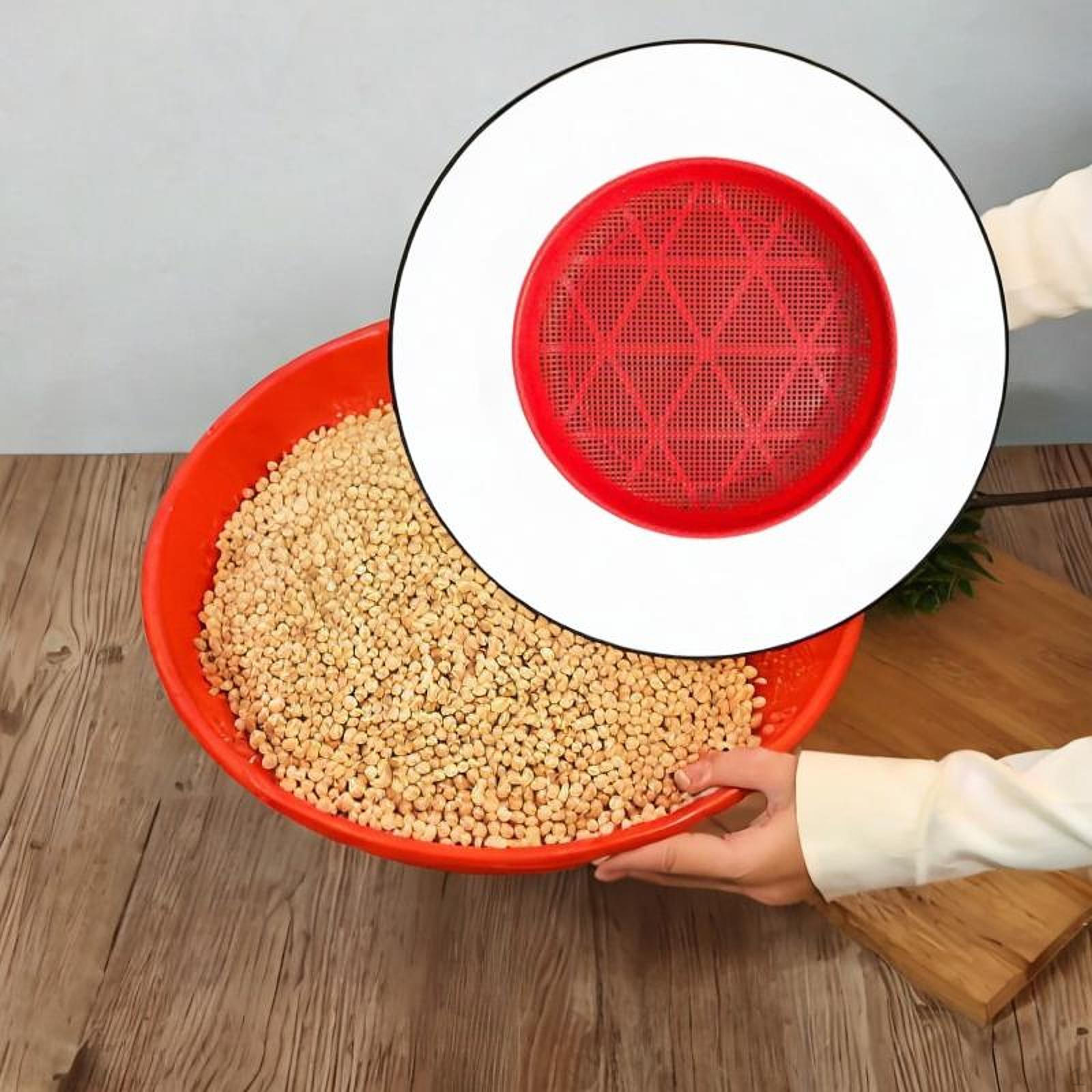 Поднос для мытья ягод Круглый сетчатый дуршлаг Органайзер для еды для кухни 3mm Hole
Поднос для мытья ягод Круглый сетчатый дуршлаг Органайзер для еды для кухни 3mm Hole