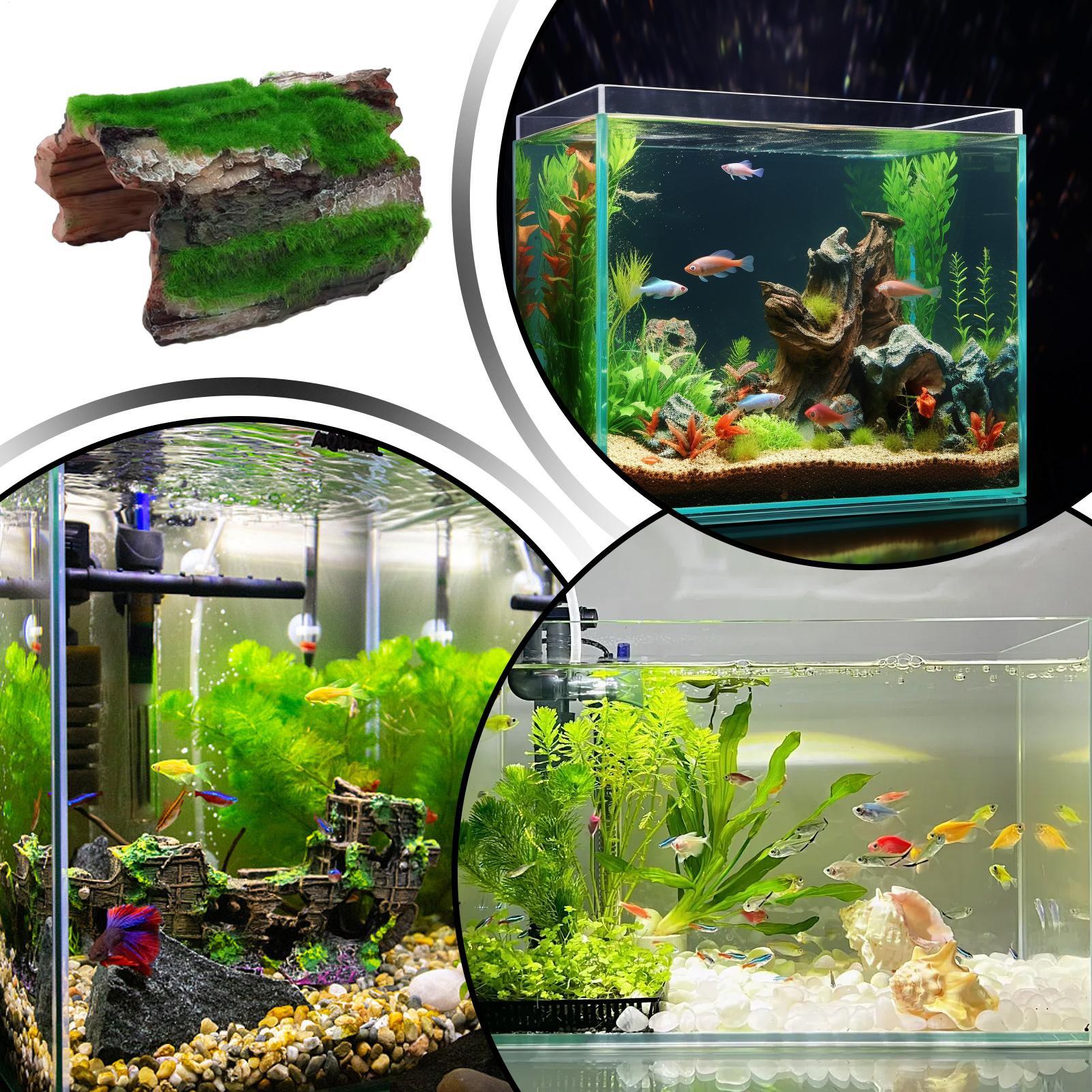 Reptile Habitat Cave Tree Trunk Shape Hollow Shelter Reptile Shelter for Leopard Geckos Gecko Bearded Dragon Snake Tarantulas CN
Reptile Habitat Cave Tree Trunk Shape Hollow Shelter Reptile Shelter for Leopard Geckos Gecko Bearded Dragon Snake Tarantulas CN
