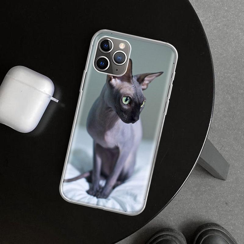 Чехол для телефона Кот Сфинкс Для iPhone 11 12 13 Mini 14 15 Plus 16 Pro Max 17 Air 7 8 + SE Арт Индивидуальный Fundas 11 12 13 Mini 1 iPhone 16 Pro Max
Чехол для телефона Кот Сфинкс Для iPhone 11 12 13 Mini 14 15 Plus 16 Pro Max 17 Air 7 8 + SE Арт Индивидуальный Fundas 11 12 13 Mini 1 iPhone 16 Pro Max