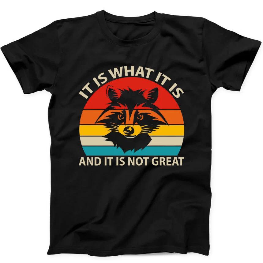 It Is What It Is And It s Not Great Raccoon Funny Gift Black T Shirt 243 3XL
It Is What It Is And It s Not Great Raccoon Funny Gift Black T Shirt 243 3XL