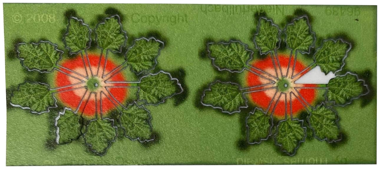 Scenery Plant Kit Series European Front Field Rhubarb Scenery Craft Material MJK13 Platts/MONO 1/35
Scenery Plant Kit Series European Front Field Rhubarb Scenery Craft Material MJK13 Platts/MONO 1/35