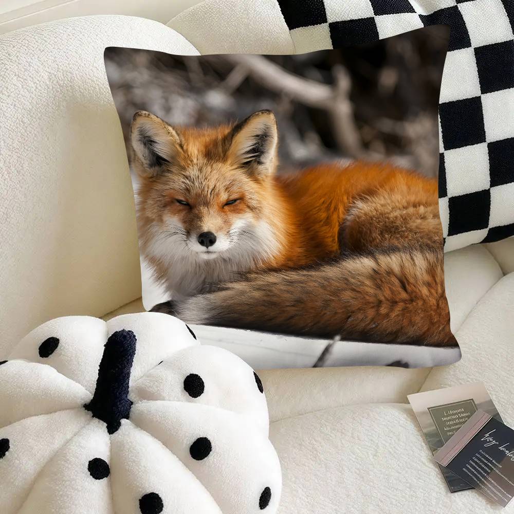 Cute Wild Fox Pillow Case Fashion Square Pillowcase Bedroom Sofa Room Ins Decoration Leisure 40x40 cm
Cute Wild Fox Pillow Case Fashion Square Pillowcase Bedroom Sofa Room Ins Decoration Leisure 40x40 cm