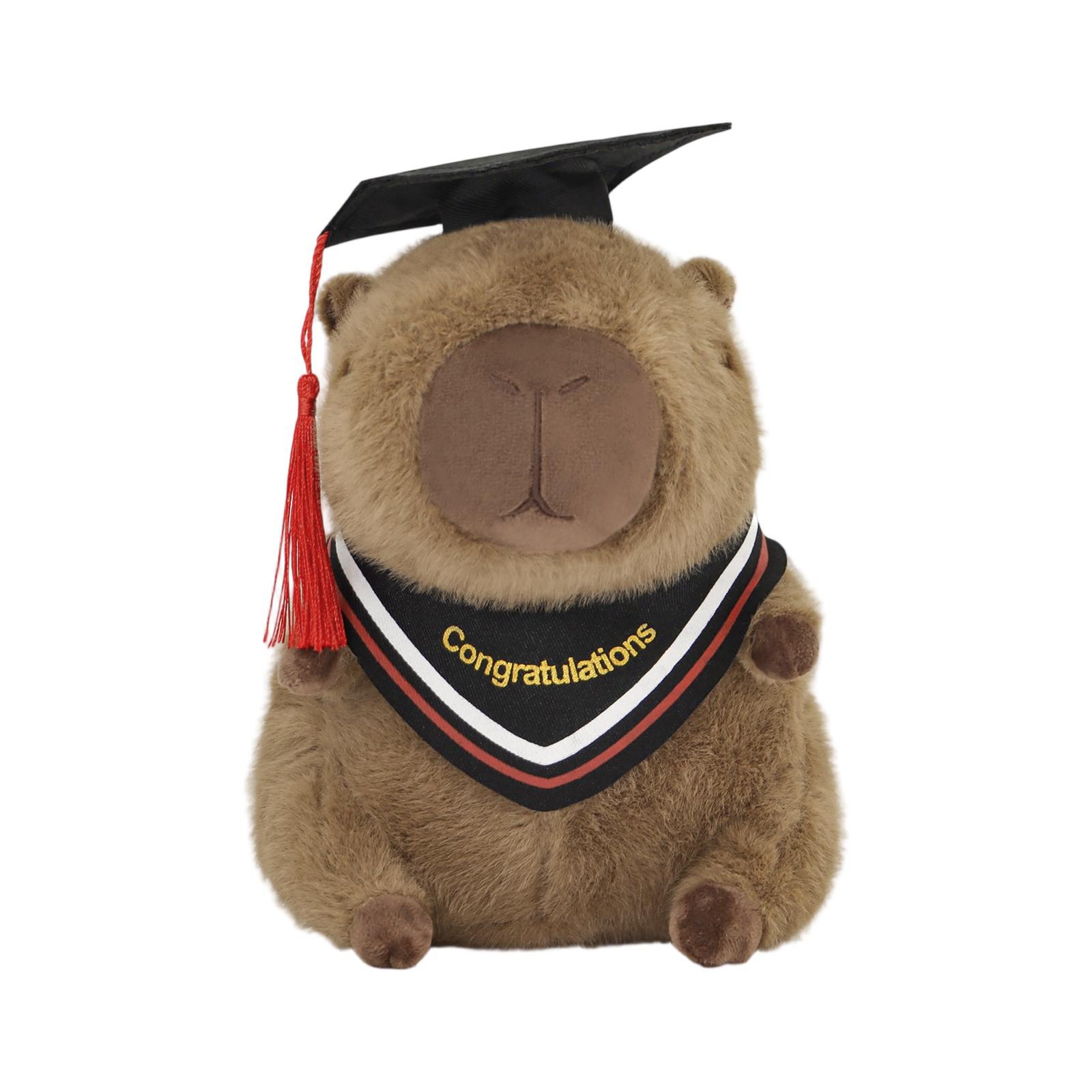 25cmDoctoral Hat Graduation Capy Guinea Pig Plush Toy One Size
25cmDoctoral Hat Graduation Capy Guinea Pig Plush Toy One Size
