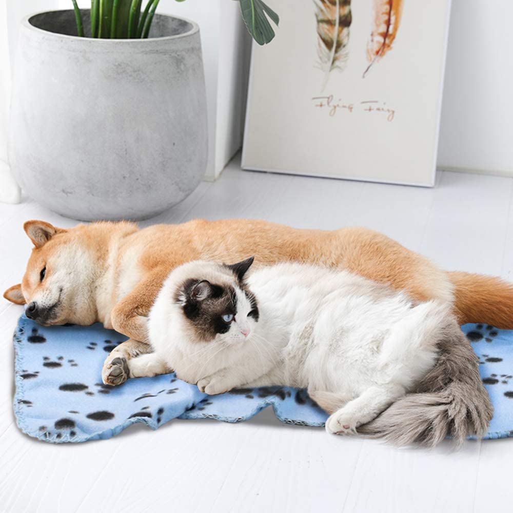 Multi Functional Pet Blankets Breathable Soft Thin Dog Blanket Warm Fleece Paw Print Blanket Bed Mat Cover for Dogs and Cats
Multi Functional Pet Blankets Breathable Soft Thin Dog Blanket Warm Fleece Paw Print Blanket Bed Mat Cover for Dogs and Cats