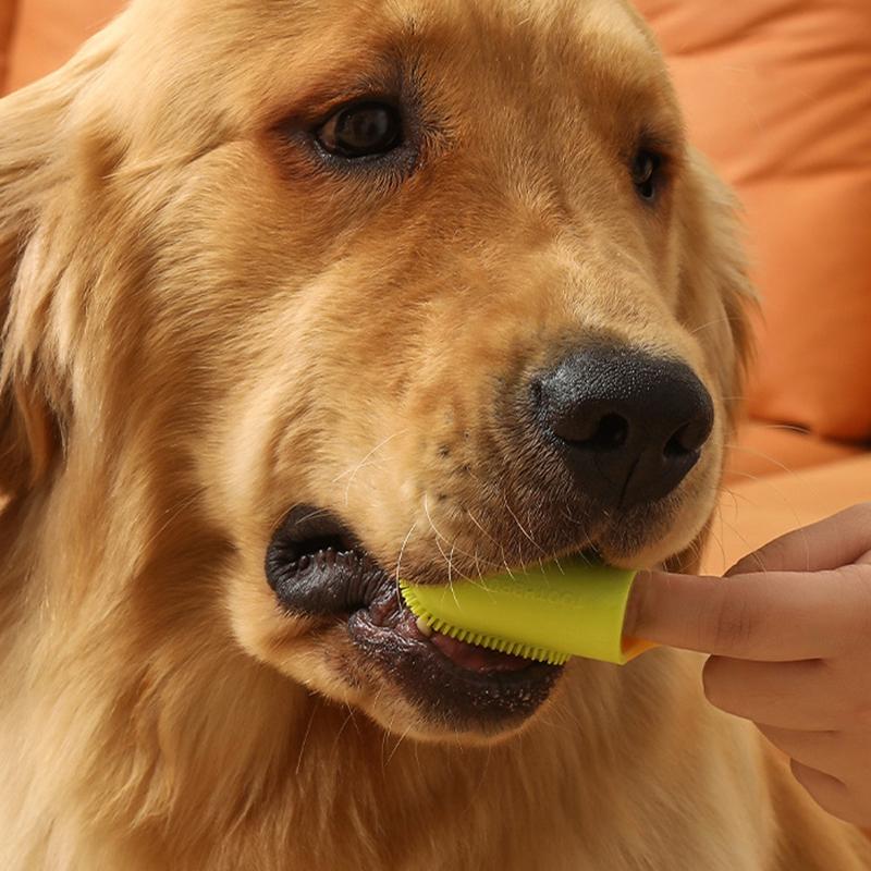 Pet Teeth Cleaning Care Finger Wrap Dog Cat Finger Toothbrush Oral Cleaning Tool Yellow+Green
Pet Teeth Cleaning Care Finger Wrap Dog Cat Finger Toothbrush Oral Cleaning Tool Yellow+Green