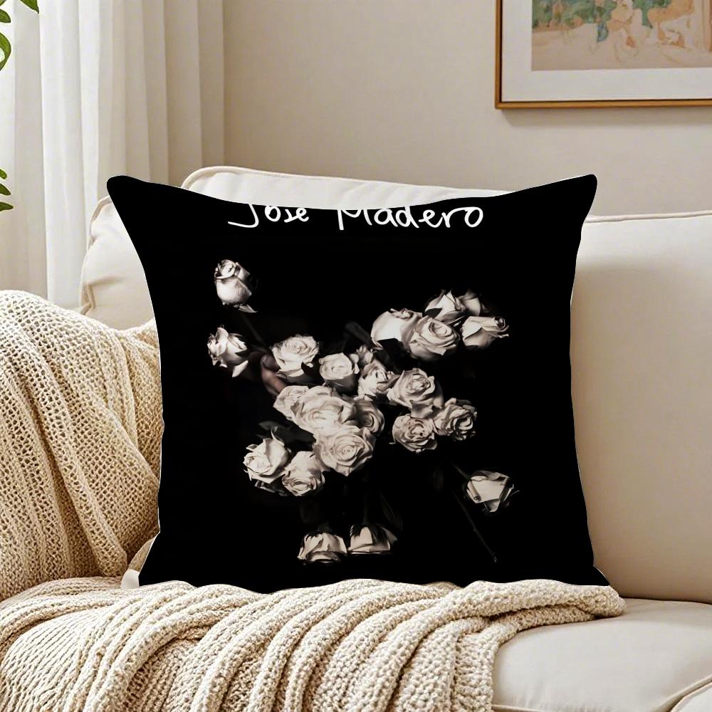 Emo SSinger Abstract Art JJose Madero Cushion Cover Pillowcase Antidustmite living Room Sofa Decor Cushion Room 30X30cm
Emo SSinger Abstract Art JJose Madero Cushion Cover Pillowcase Antidustmite living Room Sofa Decor Cushion Room 30X30cm