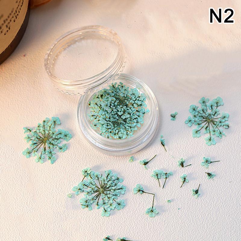 5Pcs/Box 3D Dried Flowers Nail Art Decorations Dry Floral Bloom Stickers Diy Manicure Charms Designs For Nails Accessories as the picture
5Pcs/Box 3D Dried Flowers Nail Art Decorations Dry Floral Bloom Stickers Diy Manicure Charms Designs For Nails Accessories as the picture