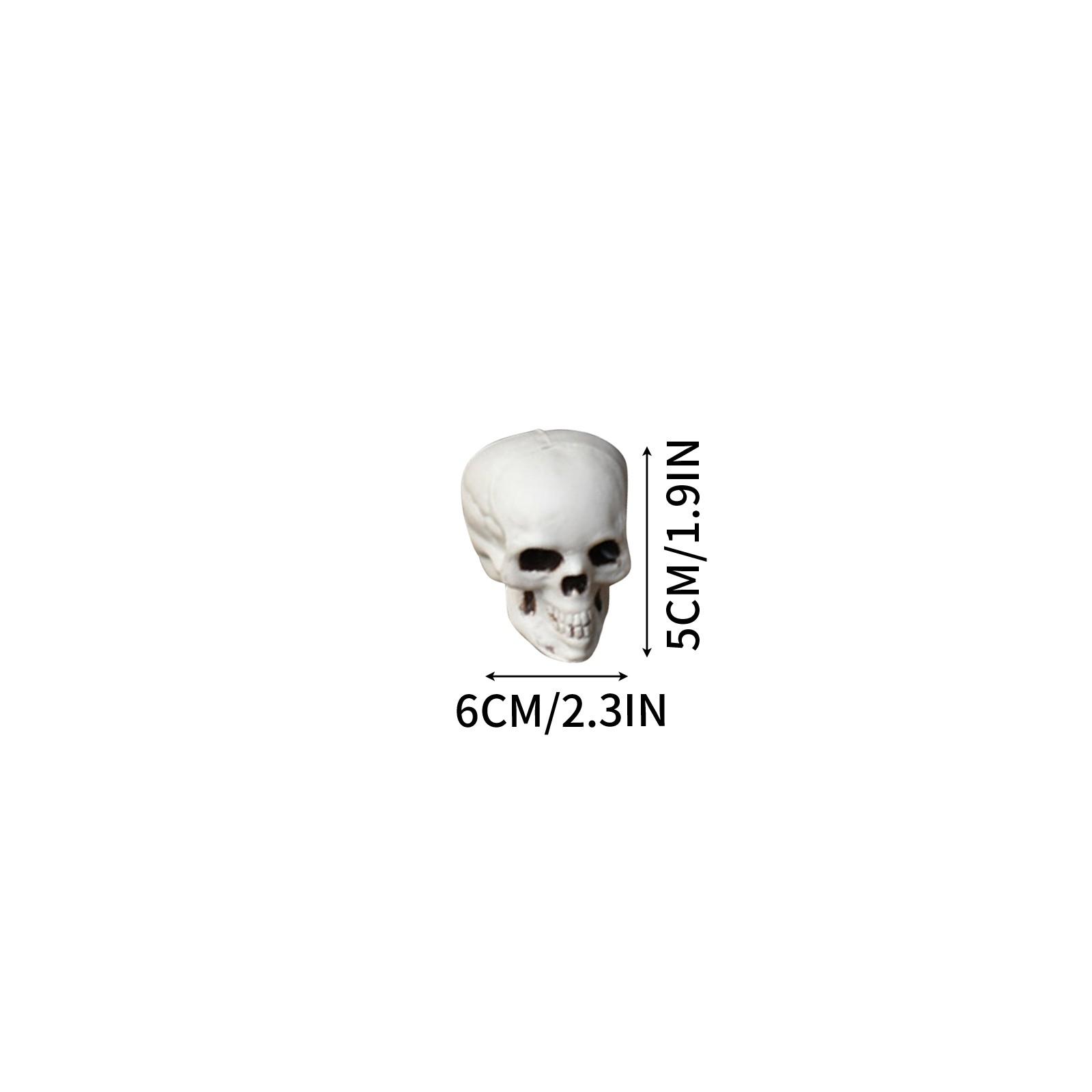 Different Sizes Resin Skull Replica Model Halloween Home Decoration Decorative Craft Holiday Horror Atmosphere Decoration Props One Size
Different Sizes Resin Skull Replica Model Halloween Home Decoration Decorative Craft Holiday Horror Atmosphere Decoration Props One Size