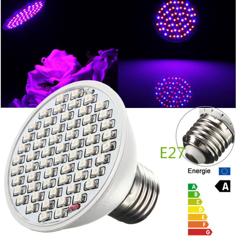 60 Led E27 4w Рост лампочки 3528 SMD Крытая гидропонная лампа роста растений Красный синий
60 Led E27 4w Рост лампочки 3528 SMD Крытая гидропонная лампа роста растений Красный синий