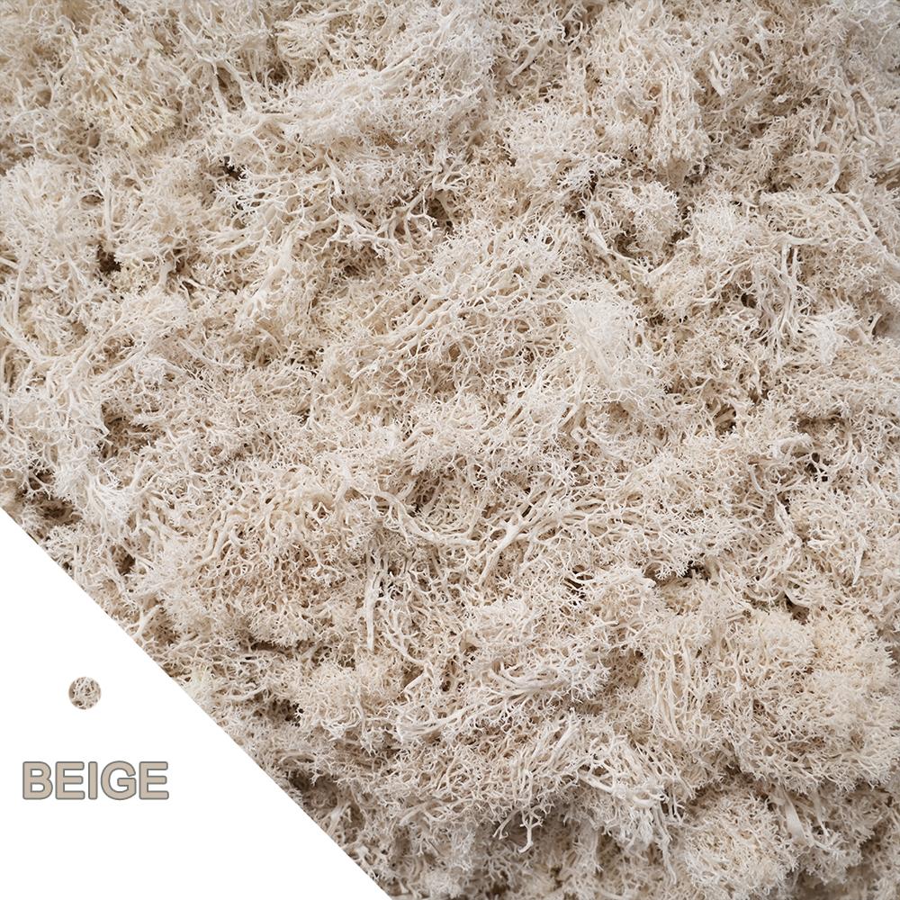 Artificial Green Plants Eternal Life Moss DIY Crafts Grass Garden Home Room Decor Mini Landscape Fake Grass 20/40/100g 20gram
Artificial Green Plants Eternal Life Moss DIY Crafts Grass Garden Home Room Decor Mini Landscape Fake Grass 20/40/100g 20gram