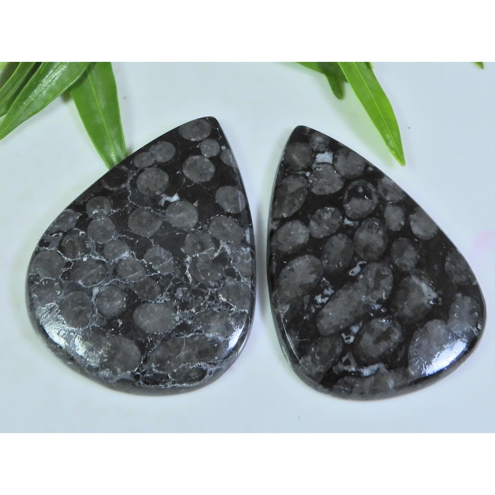 2Pcs 124Cts. Natural Black Fossil Coral Pear Cabochon Gemstone 32X45-35X47MM A-115
2Pcs 124Cts. Natural Black Fossil Coral Pear Cabochon Gemstone 32X45-35X47MM A-115