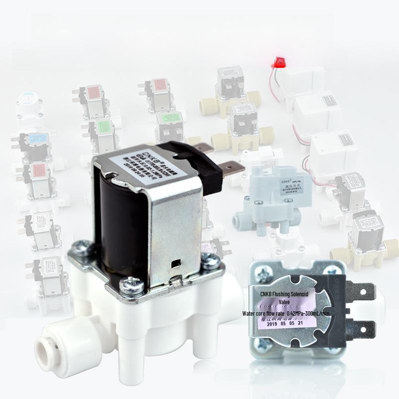 24V Household Waterproof Solenoid Water Purifier Valve with Self-Flushing and Pressure Switch
24V Household Waterproof Solenoid Water Purifier Valve with Self-Flushing and Pressure Switch