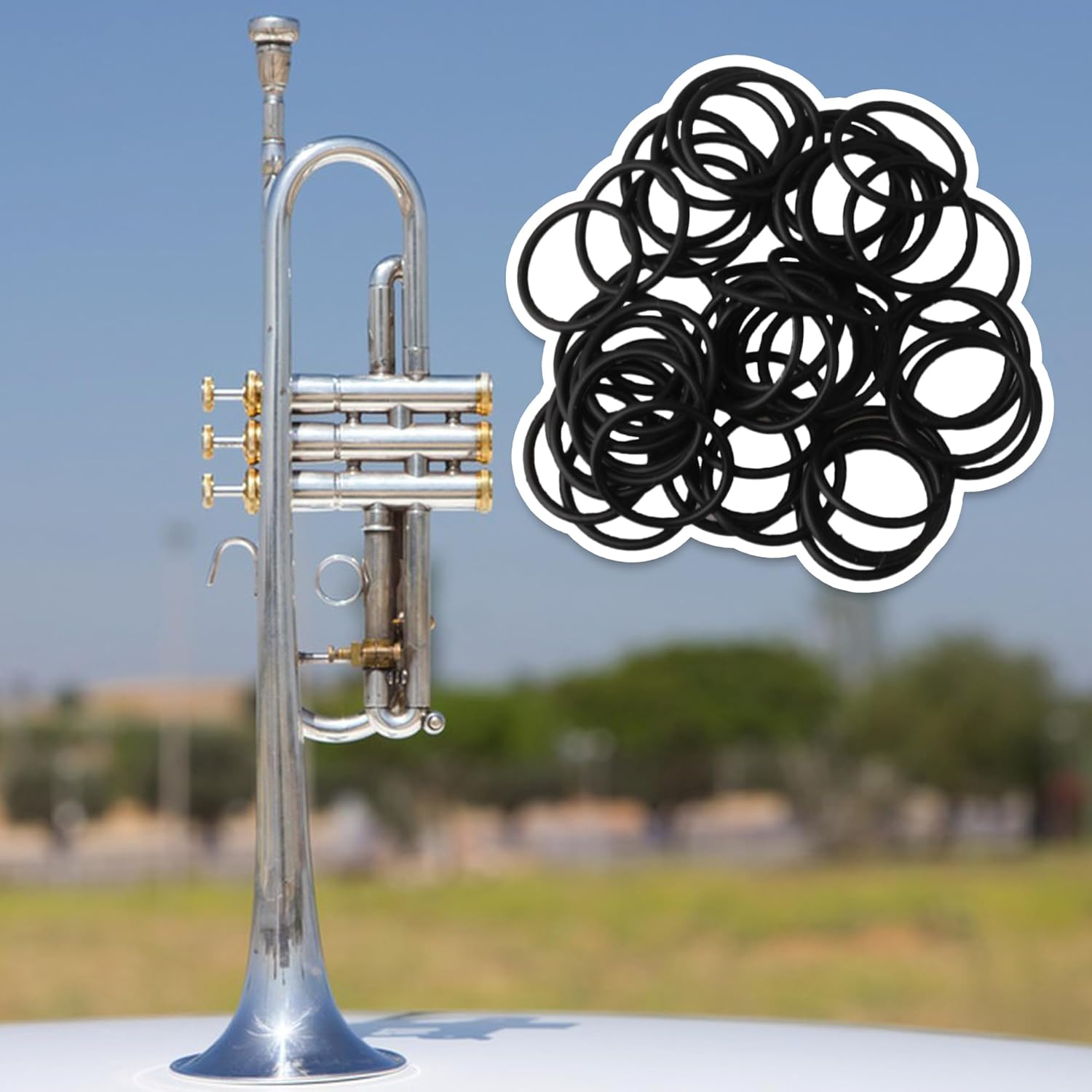Lovermusic Black Dia 12mm Trumpet Cornet Tuning Slide Rubber O Ring Bumper Stopper Pack of 50
Lovermusic Black Dia 12mm Trumpet Cornet Tuning Slide Rubber O Ring Bumper Stopper Pack of 50