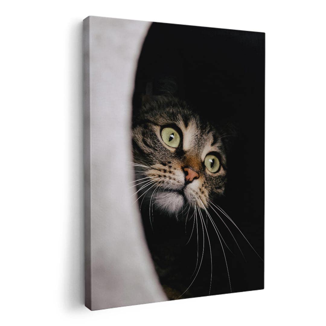 Art 420mm x Wall Wooden Stylish Interior Animal Photo Panel, Picture, Painting, Decoration, igsticker, 297mm, A3, Photo, Hanging, Frame, Decor,
Art 420mm x Wall Wooden Stylish Interior Animal Photo Panel, Picture, Painting, Decoration, igsticker, 297mm, A3, Photo, Hanging, Frame, Decor,