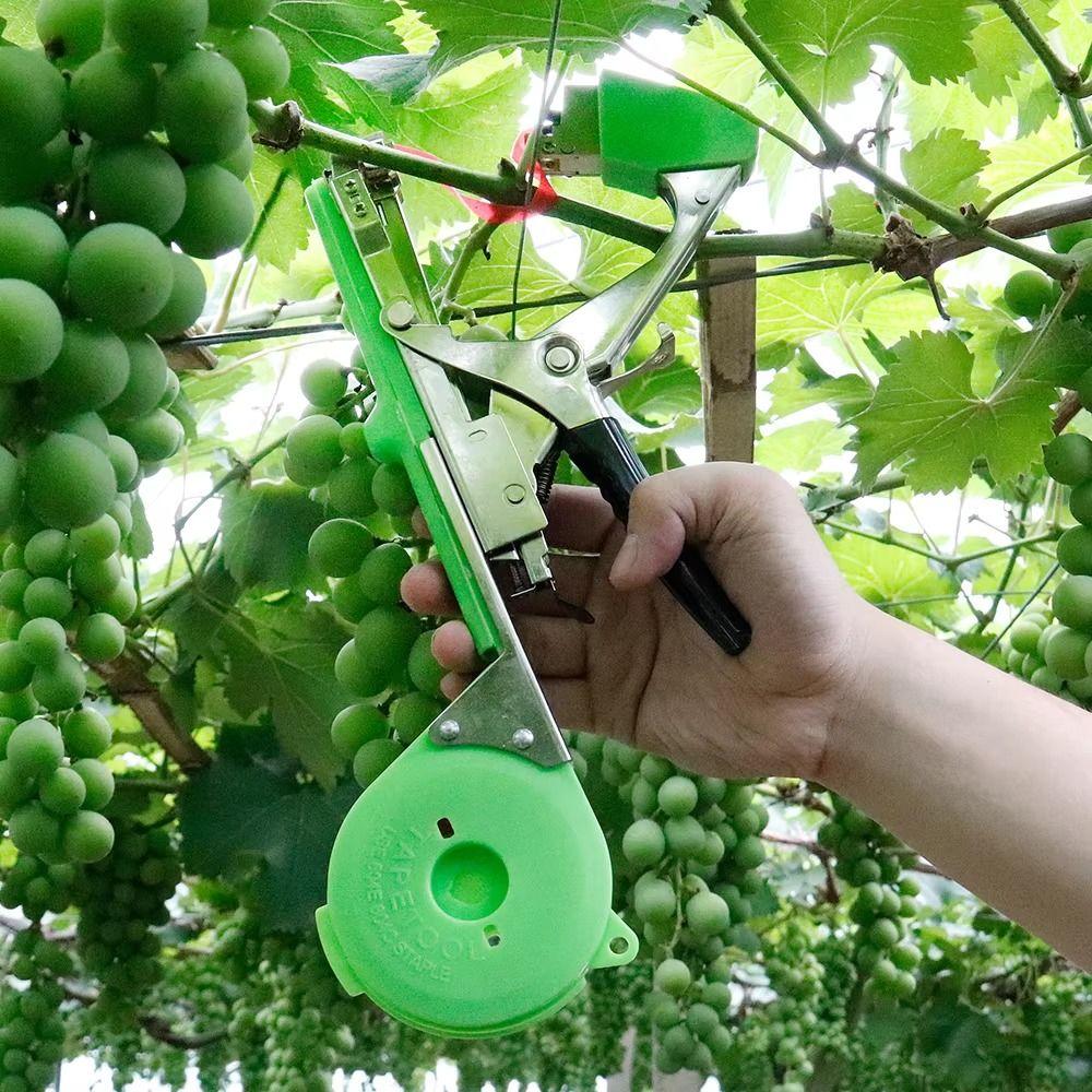 Labor saving Seedling Binding Vine Tool Vegetable Tapes Garden Binding Machine Grape Vine Style-B
Labor saving Seedling Binding Vine Tool Vegetable Tapes Garden Binding Machine Grape Vine Style-B