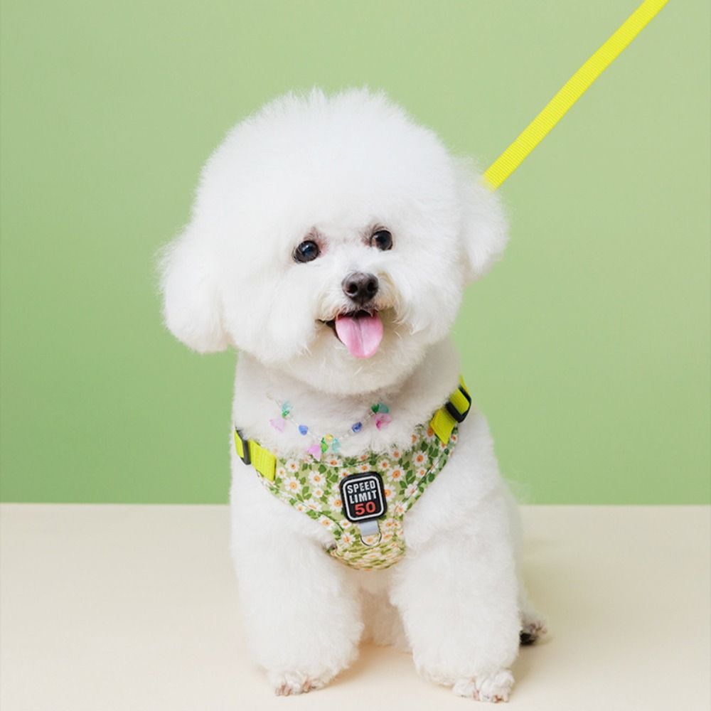 Reflective Dog Harness Leash Set No Pull Pet Harness Vest Cat Chest Strap Outdoor Walking S синій
Reflective Dog Harness Leash Set No Pull Pet Harness Vest Cat Chest Strap Outdoor Walking S синій