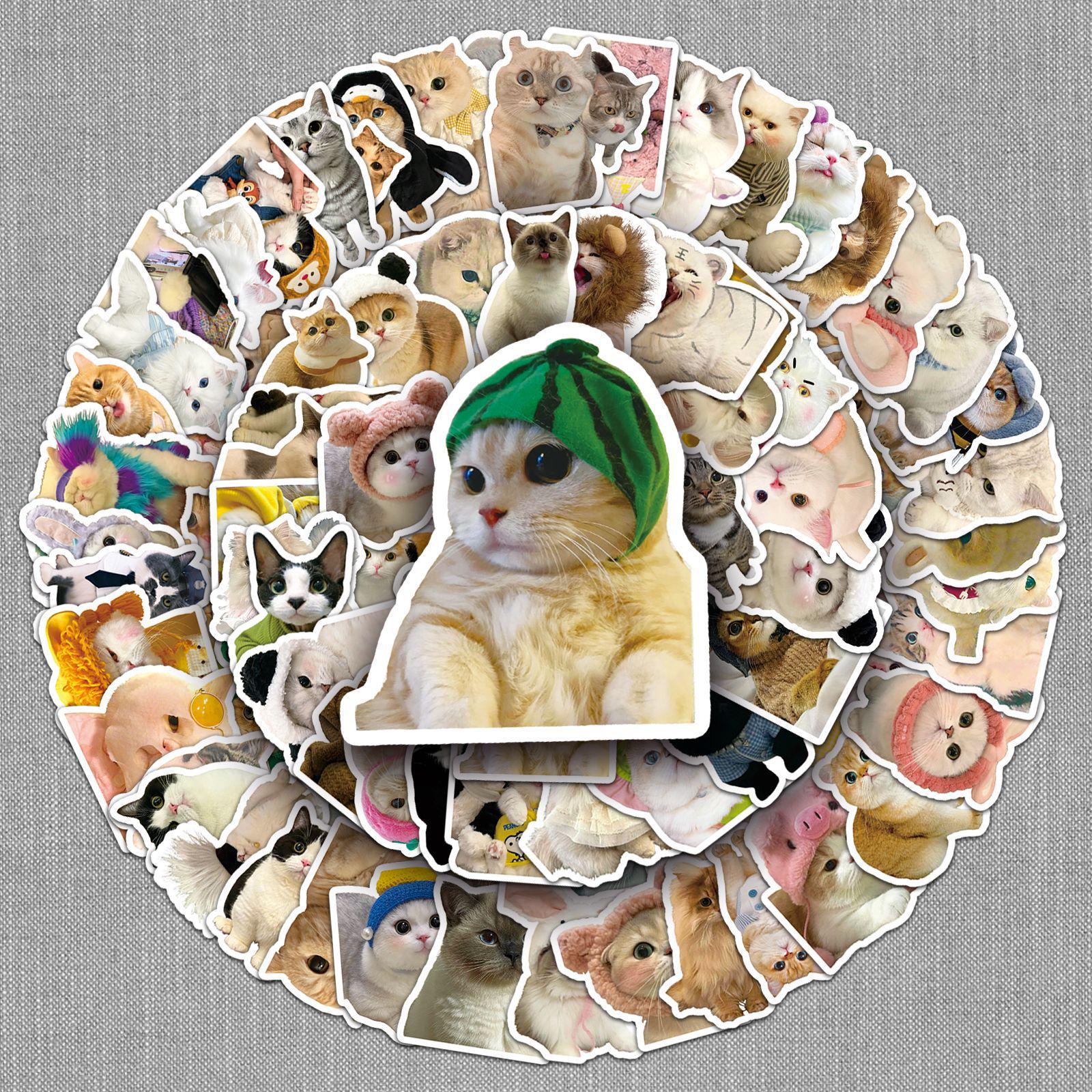 100 Cute Cartoon Kitten Stickers for DIY Decoration: Water Cups, Phone Cases & Computers
100 Cute Cartoon Kitten Stickers for DIY Decoration: Water Cups, Phone Cases & Computers