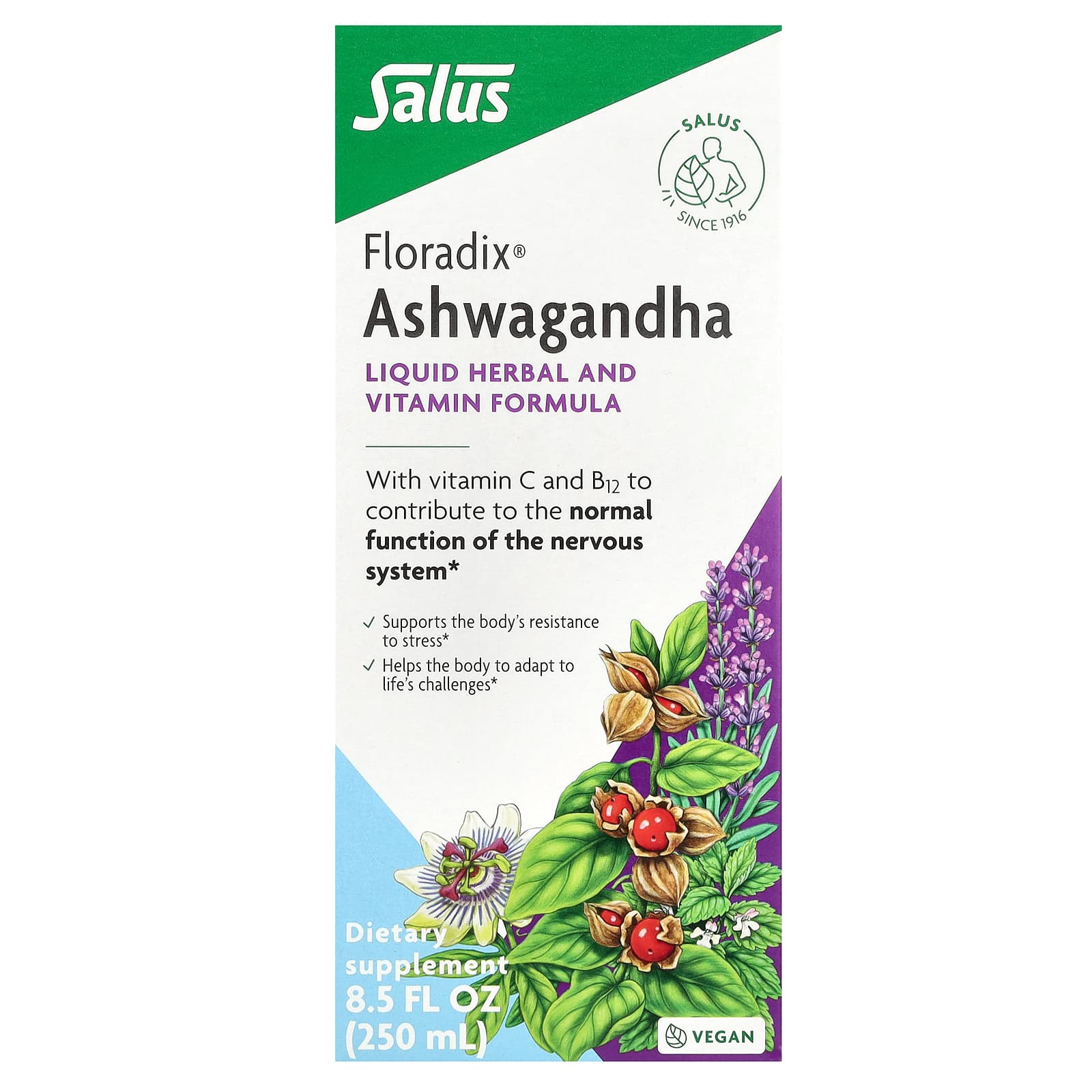 Floradix, Floradix, Ashwagandha, 8.5 fl oz (250 ml)
Floradix, Floradix, Ashwagandha, 8.5 fl oz (250 ml)
