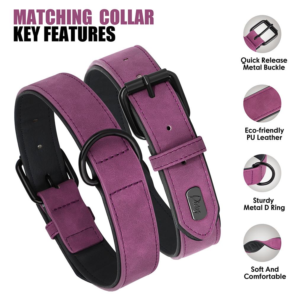 PU Leather Dog Collar Leash Set Soft Padded Puppy Dog Collars Adjustable Pet Necklace With Walking Lead For Small Large Dogs Pug S
PU Leather Dog Collar Leash Set Soft Padded Puppy Dog Collars Adjustable Pet Necklace With Walking Lead For Small Large Dogs Pug S